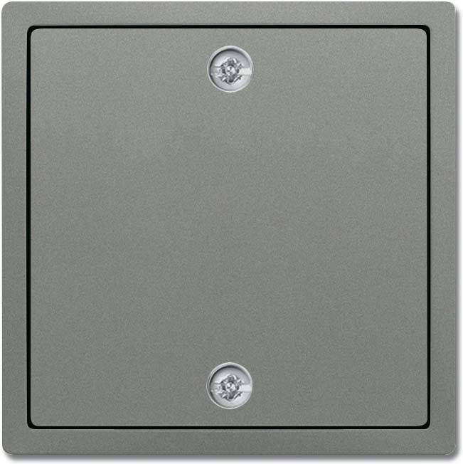 10 Stück Busch-Jaeger Zentralscheibe gr/metal 1796-803