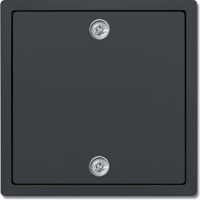 10 Stück Busch-Jaeger Zentralscheibe anthrazit 1796-81