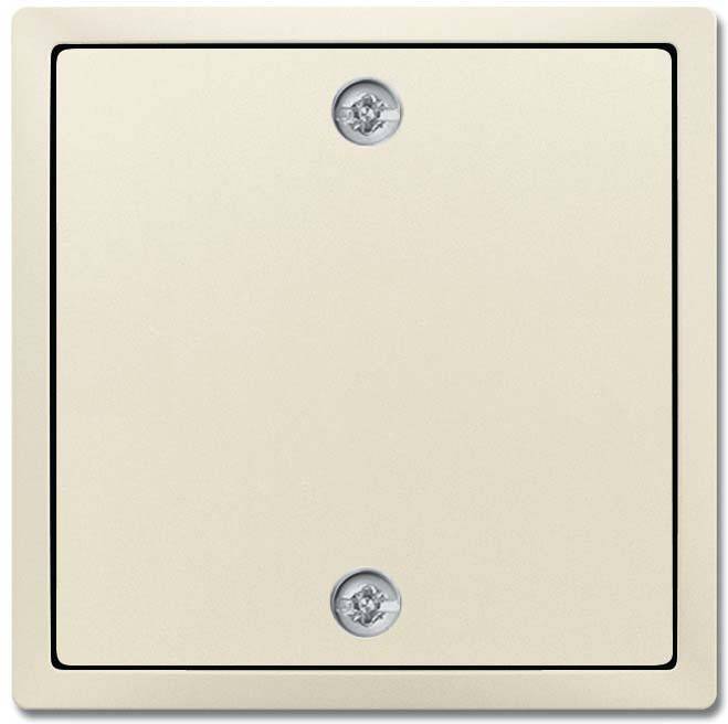 10 Stück Busch-Jaeger Zentralscheibe elf/ws 1796-82