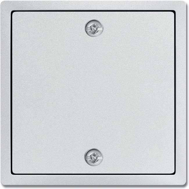 10 Stück Busch-Jaeger Zentralscheibe alusilber 1796-83