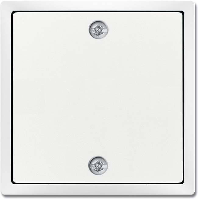 10 Stück Busch-Jaeger Zentralscheibe studioweiß 1796-84