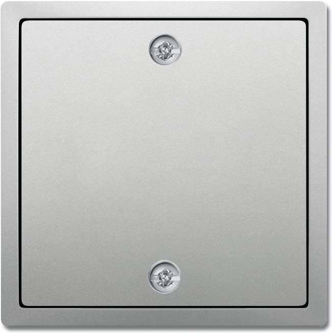 10 Stück Busch-Jaeger Zentralscheibe edelstahl 1796-866