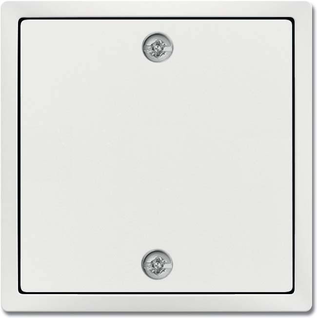 10 Stück Busch-Jaeger Zentralscheibe stud-ws/mt 1796-884