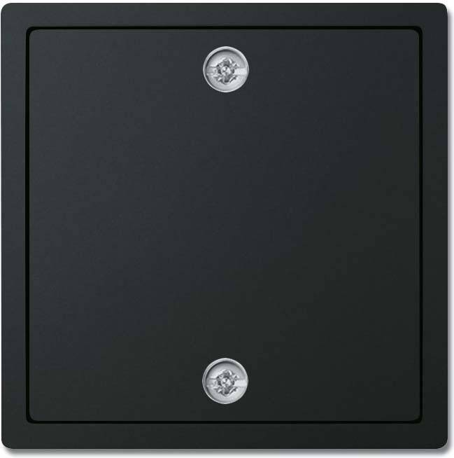 10 Stück Busch-Jaeger Zentralscheibe schwarz 1796-885