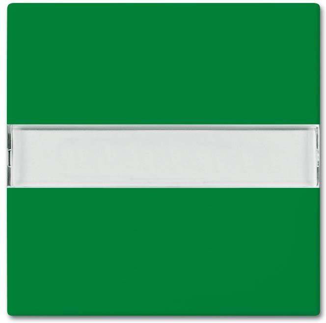 Busch-Jaeger Wippe 2510 NLI-13-914