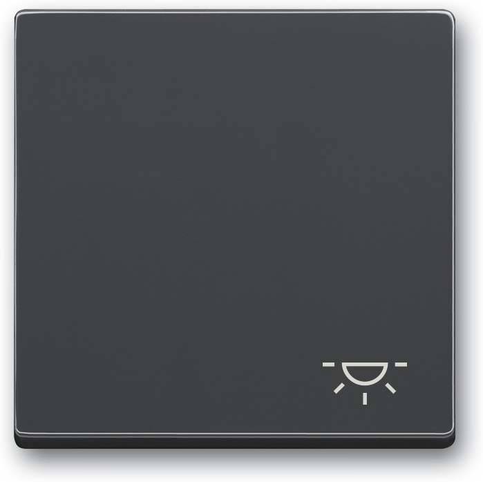 Busch-Jaeger Wippe mit Aufdruck 2520 LI-81