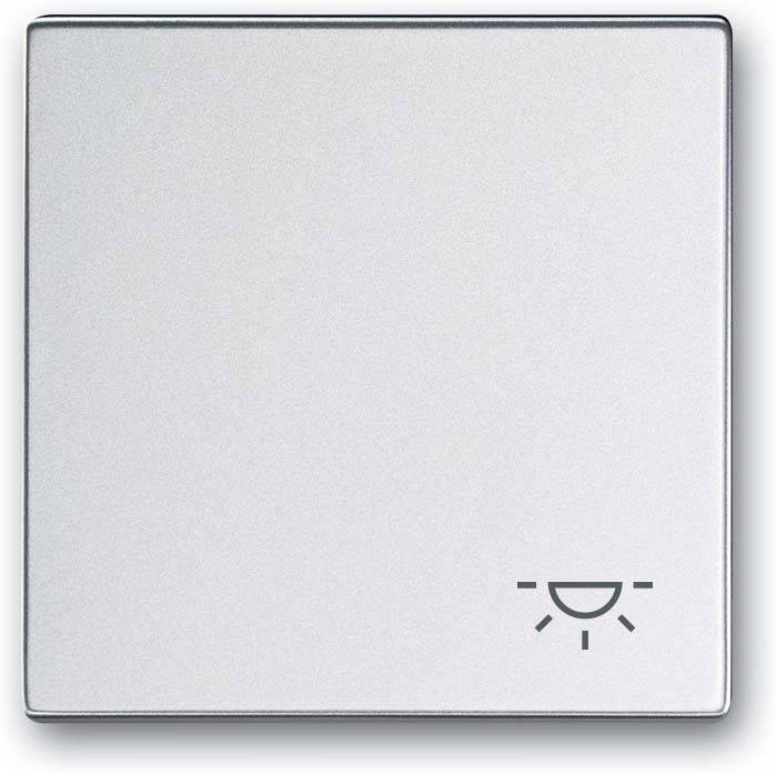 Busch-Jaeger Wippe mit Aufdruck 2520 LI-83