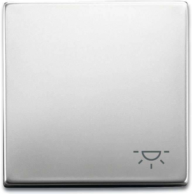 Busch-Jaeger Wippe mit Aufdruck 2520 LI-866