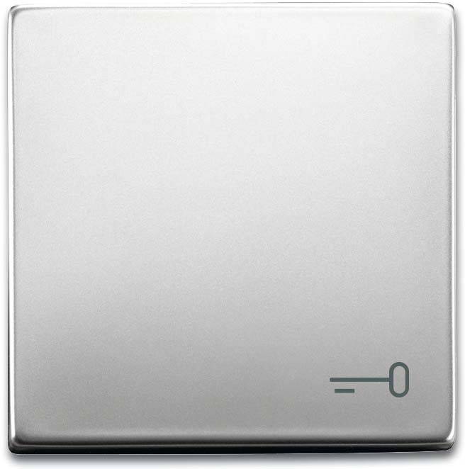 Busch-Jaeger Wippe mit Aufdruck 2520 TR-866