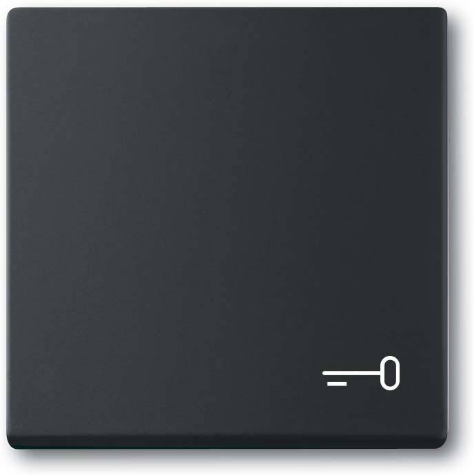 Busch-Jaeger Wippe mit Aufdruck 2520 TR-885