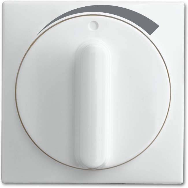 Busch-Jaeger Zentralscheibe alpinweiß 1740 DR/03-914