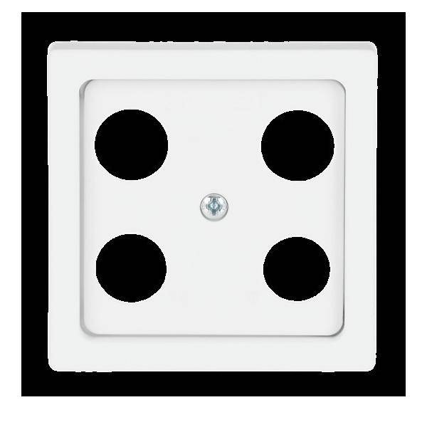 Busch-Jaeger Zentralscheibe stud-ws/mt 1743-04-884