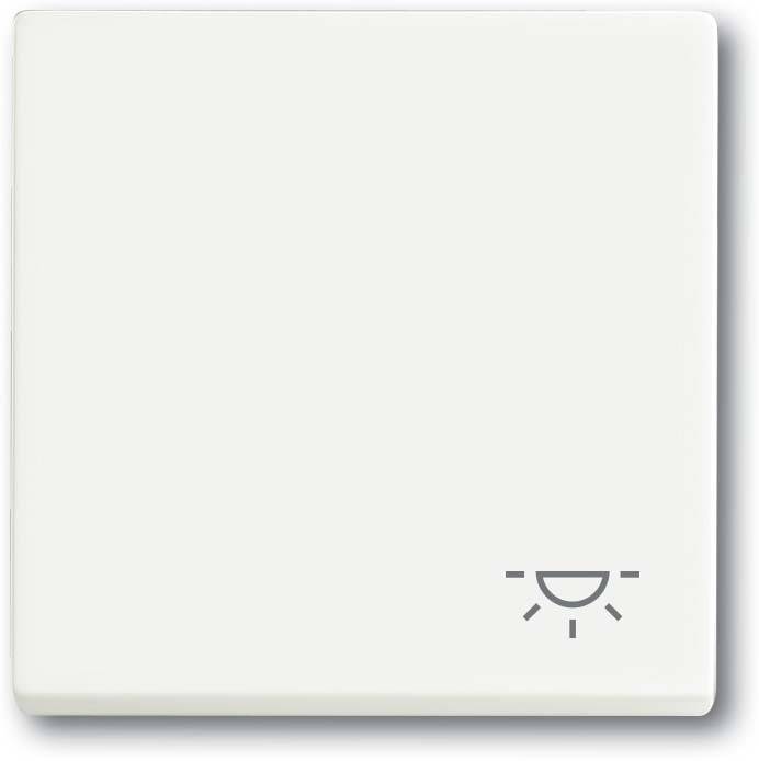 10 Stück Busch-Jaeger Wippe mit Aufdruck 2520 LI-884