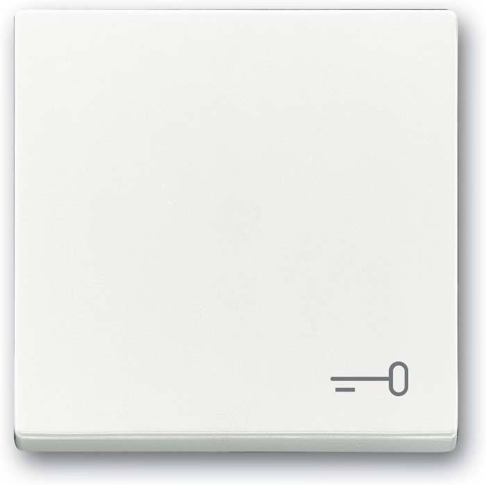 Busch-Jaeger Wippe mit Aufdruck 2520 TR-84