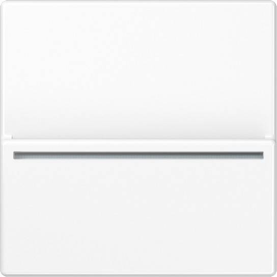 Jung Hotelcard-Schalter A CARD RFID WW