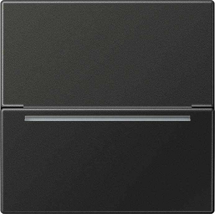 Jung Hotelcard-Schalter AL CARD RFID AN