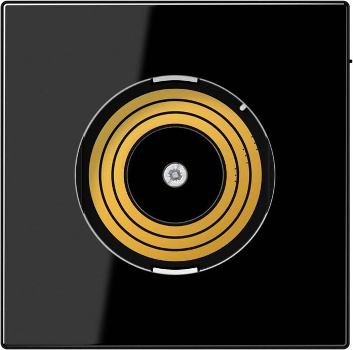 Jung Abdeckung PL LS DMS SW