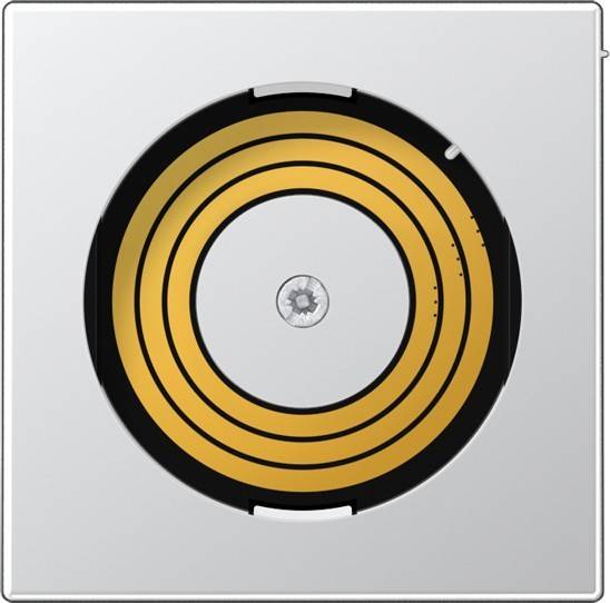 Jung Abdeckung PL A DMS AL