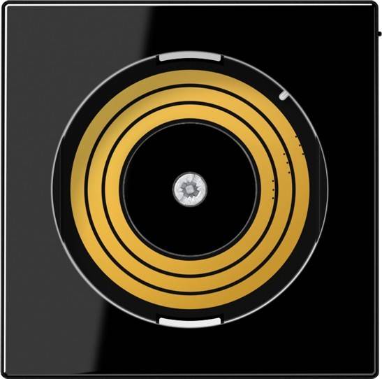 Jung Abdeckung PL A DMS SW