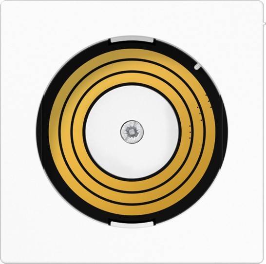 Jung Abdeckung PL A DMS WW