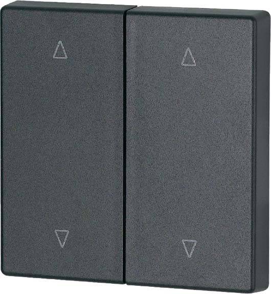 Eaton Wippe 2-fach CWIZ-02/24