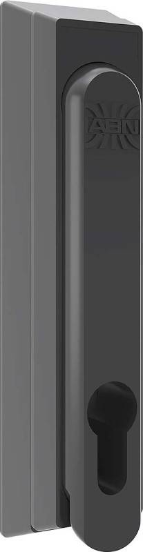 ABN Schwenkhebel FZ12N10 (VE10)