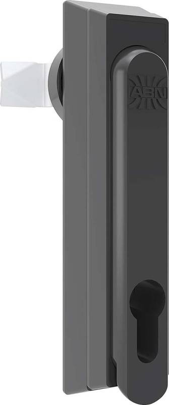 ABN Schwenkhebel GDV120N10 (VE10)