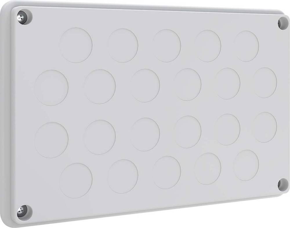 ABN Leitungseinführungsplatte NLP20N10