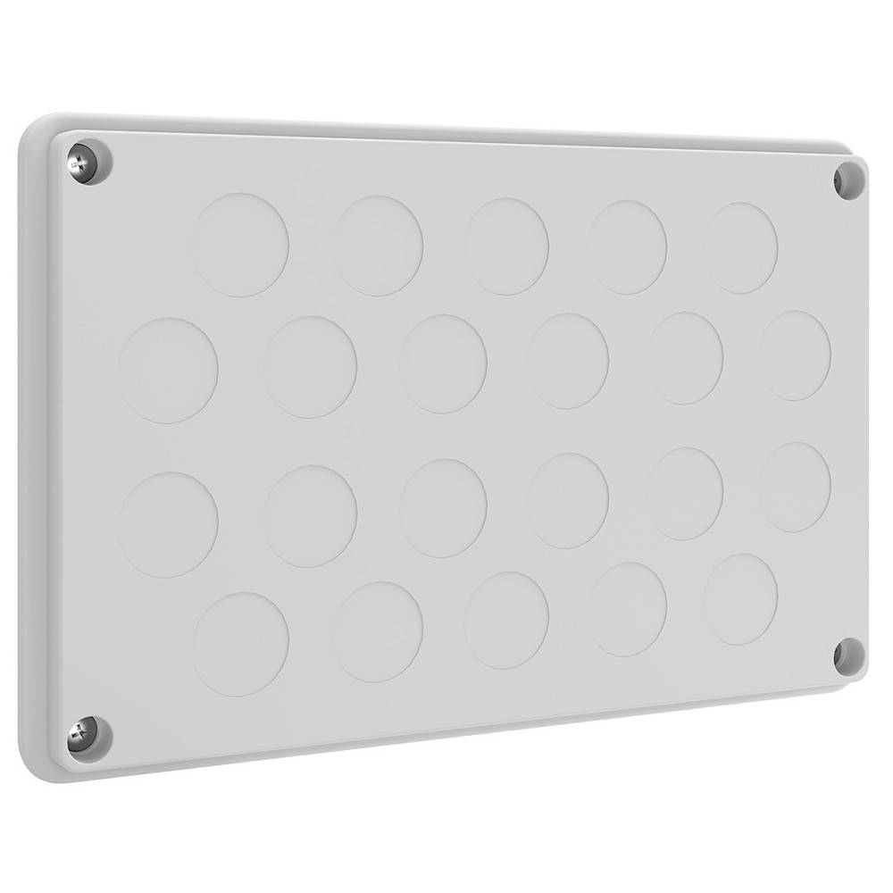 ABN Leitungseinführungsplatte NLP20N10