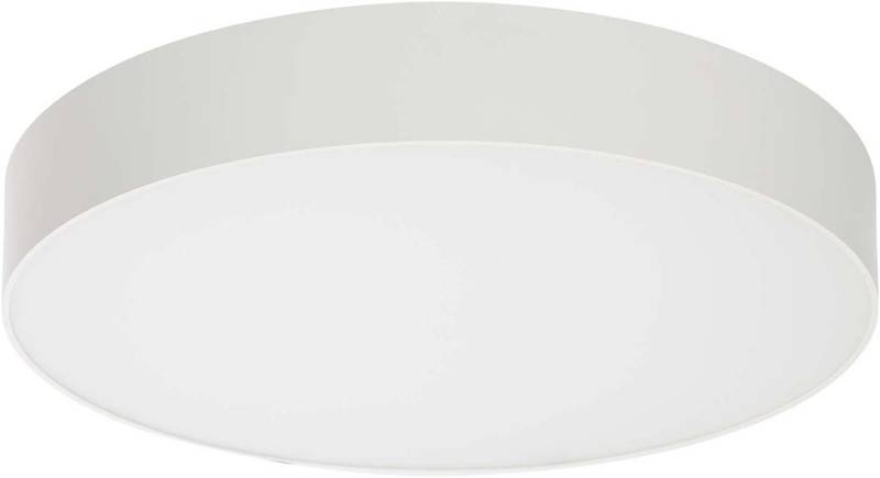 Ridi-Leuchten LED-Deckenanbauleuchte STORA-RA #SPC0620006