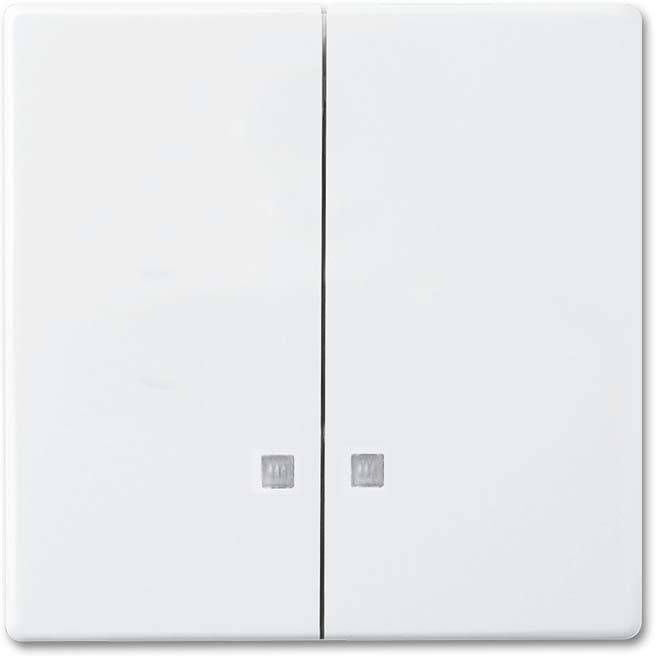 Busch-Jaeger Wippe 1785 K-84