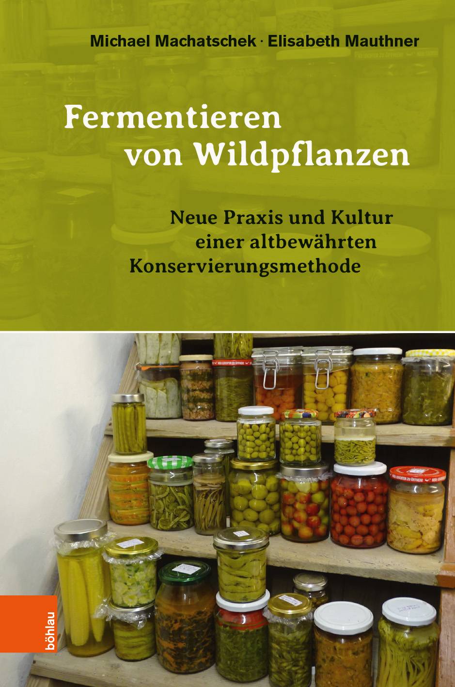 Fermentieren von Wildpflanzen Neue Praxis und Kultur einer altbewährten Konservierungsmthode