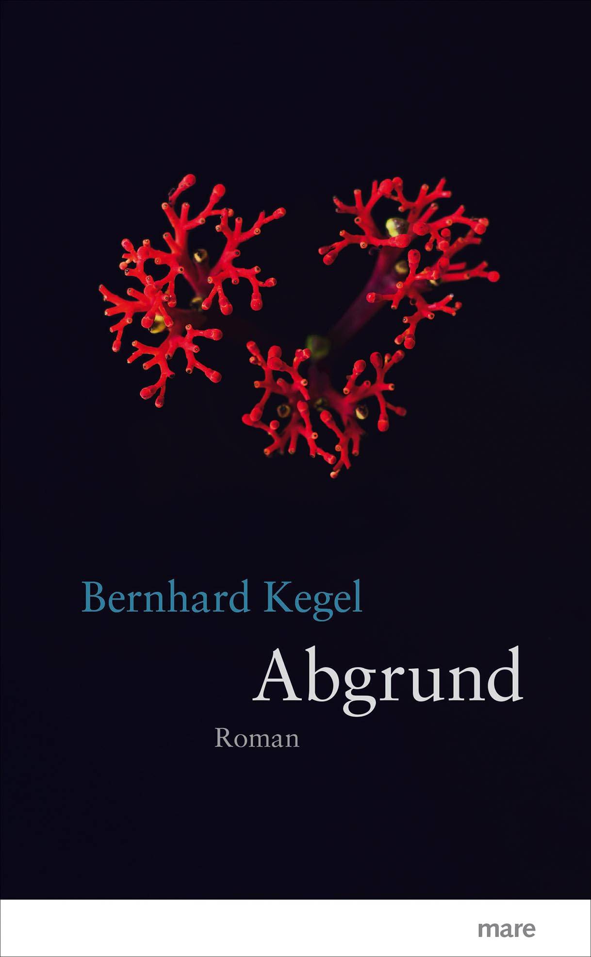 Abgrund Roman