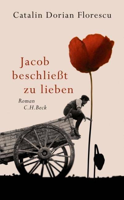 Jacob beschließt zu lieben Roman