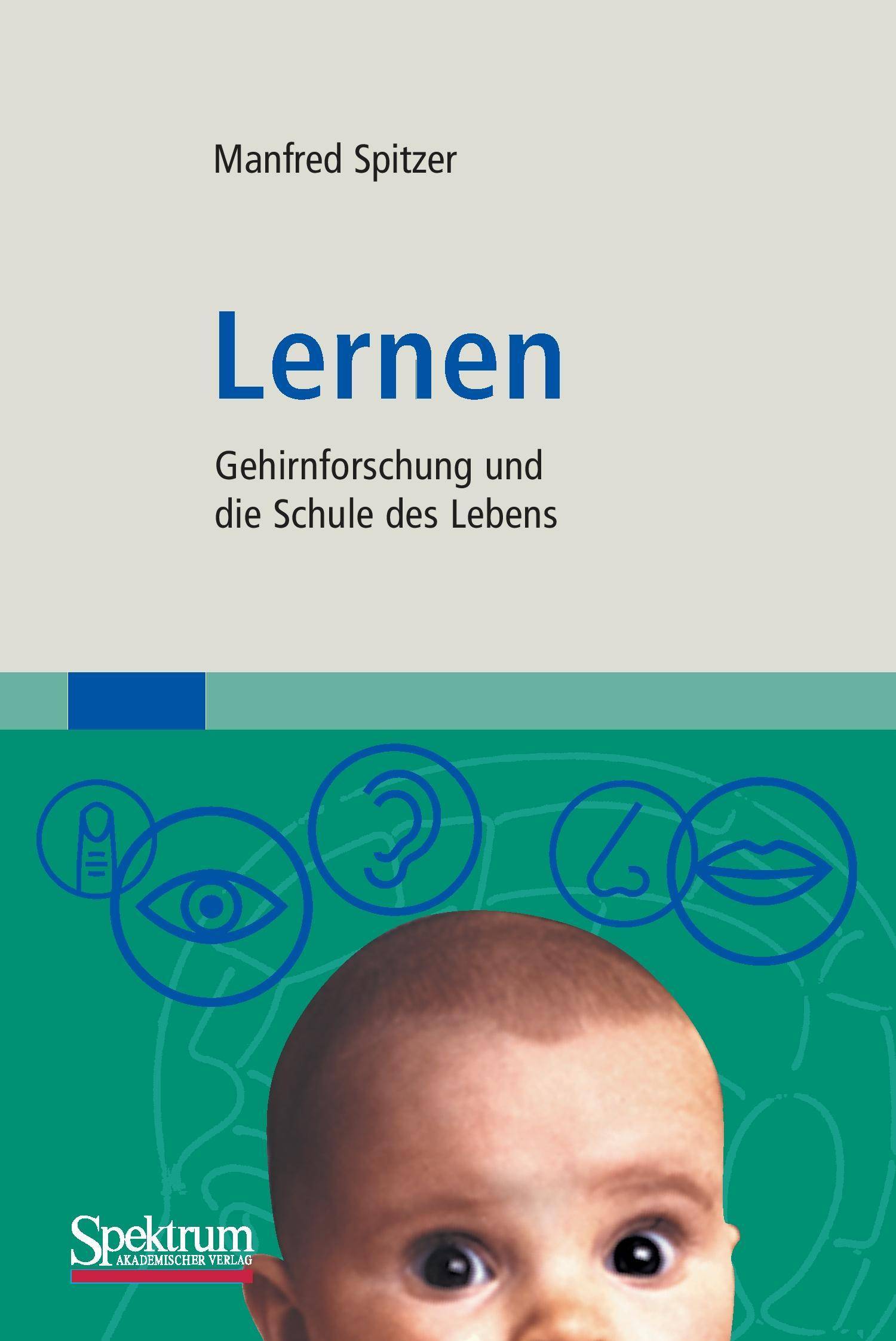 Lernen Gehirnforschung und die Schule des Lebens
