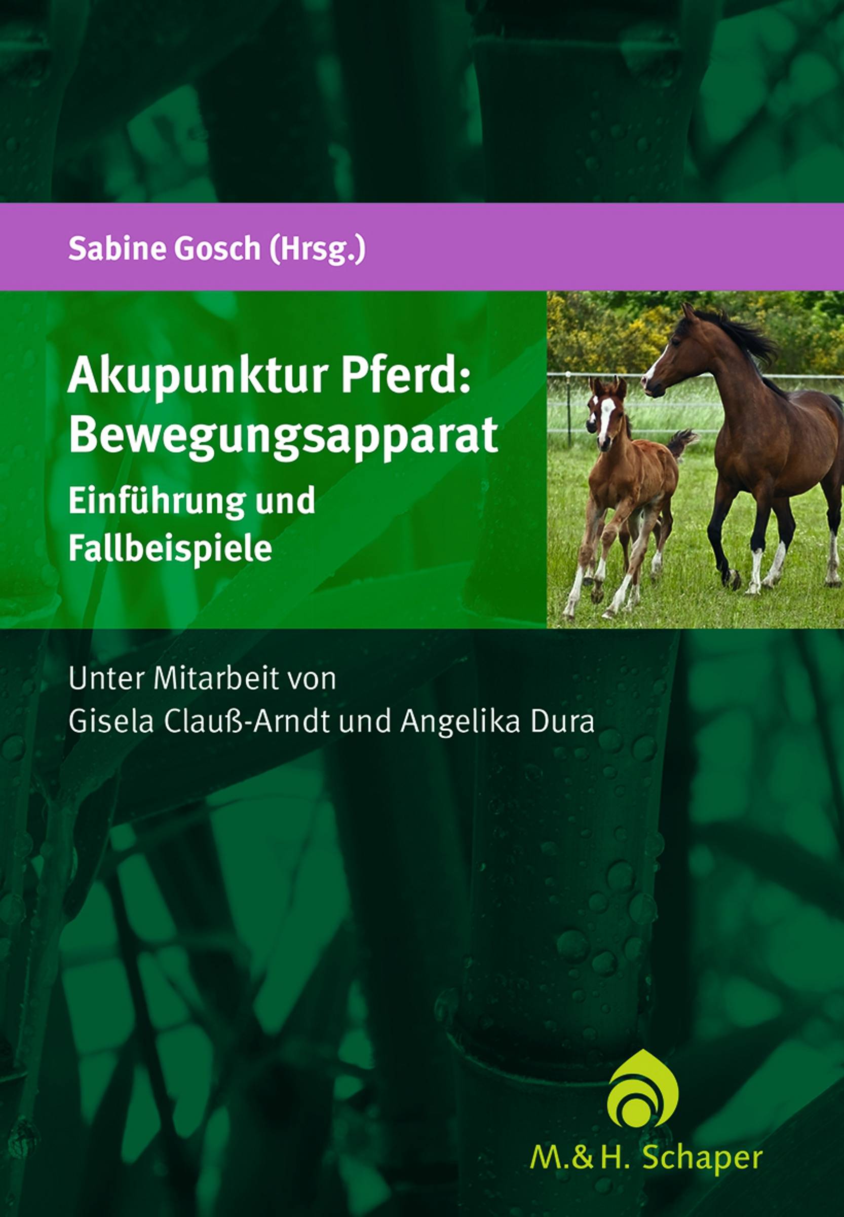Akupunktur Pferd: Bewegungsapparat Einführung und Fallbeispiele