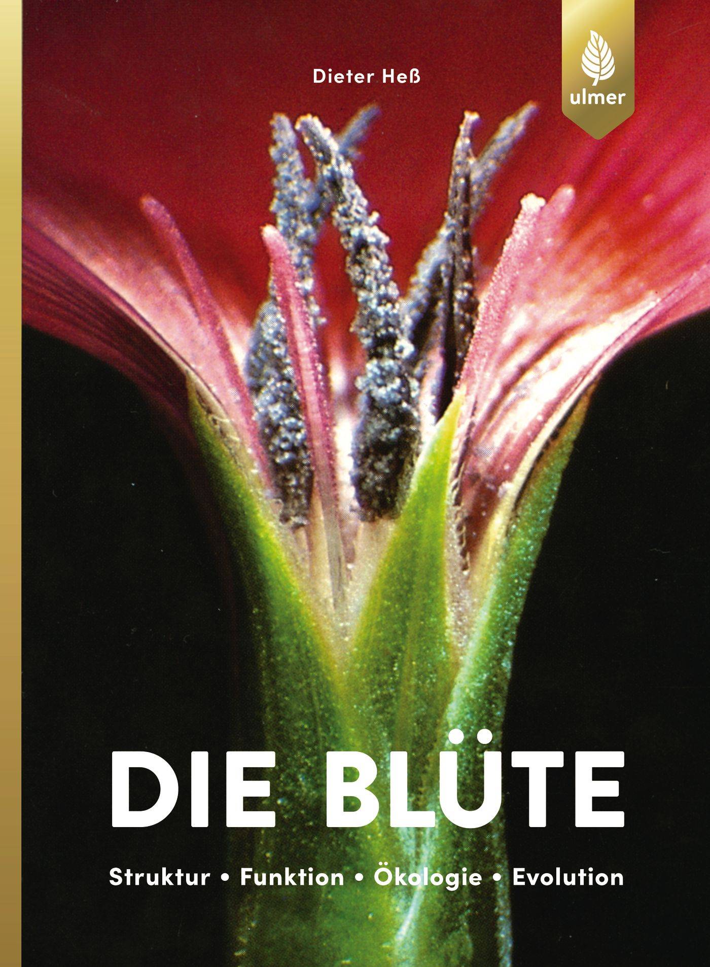 Die Blüte Struktur, Funktion, Ökologie, Evolution