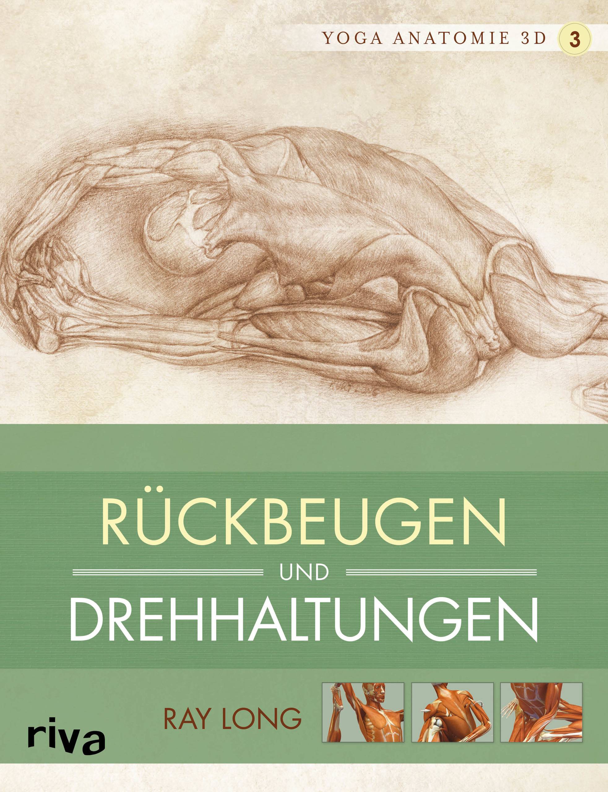 Yoga-Anatomie 3D Rückbeugen und Drehhaltungen