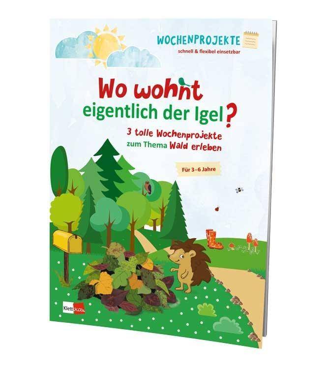 Wo wohnt eigentlich der Igel 3 tolle Wochenprojekte zum Thema Wald erleben