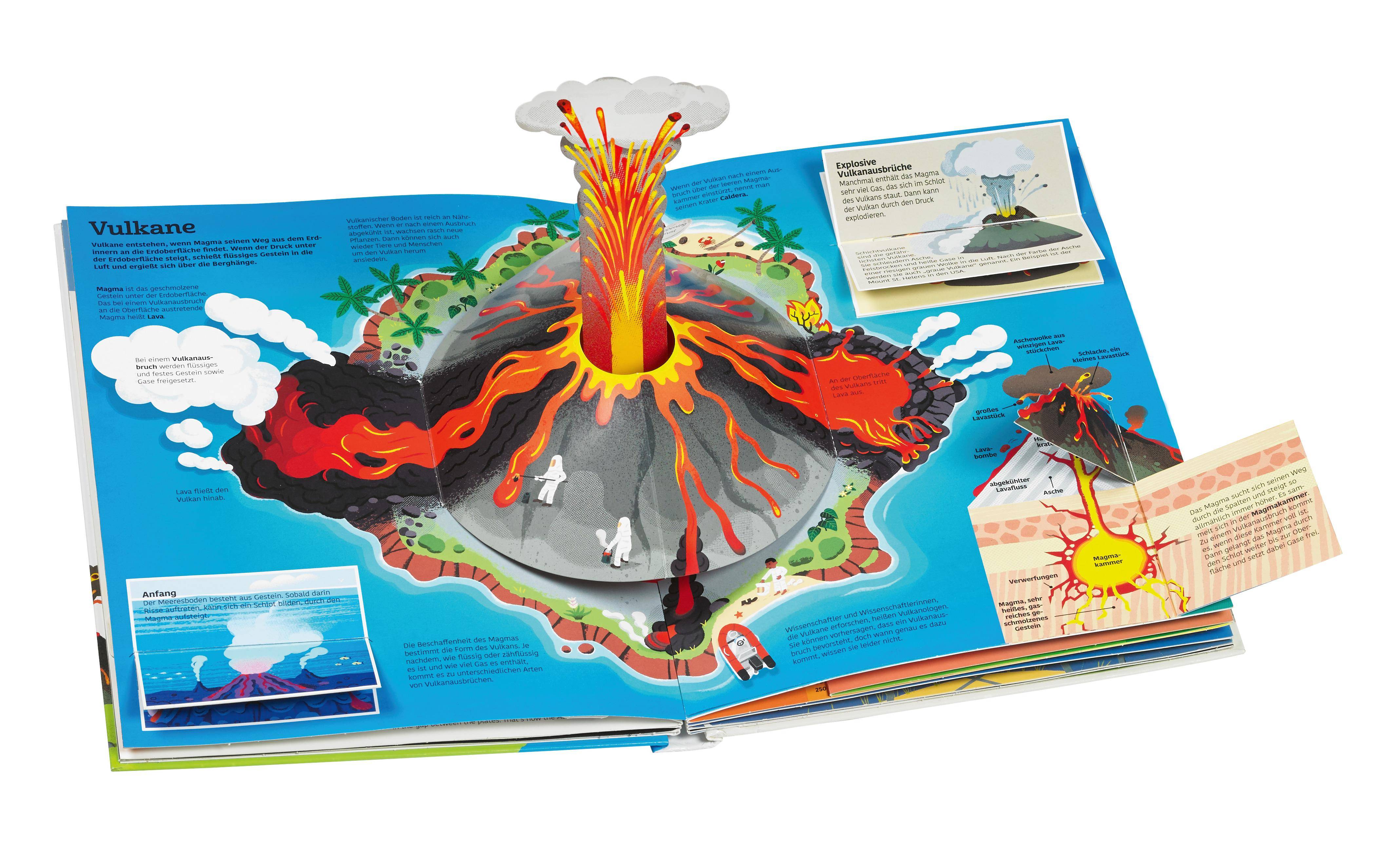 Mein großes Buch der Erde Über 45 Klappen und Spielelemente