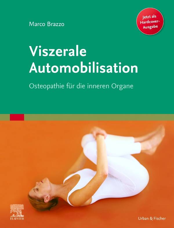 Viszerale Automobilisation Osteopathie für die inneren Organe