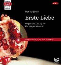 Erste Liebe, 1 MP3-CD Lesung