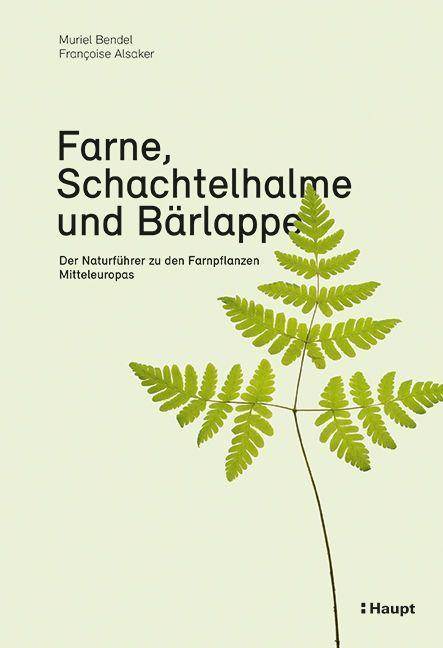 Farne, Schachtelhalme und Bärlappe Der Naturführer zu den Farnpflanzen Mitteleuropas