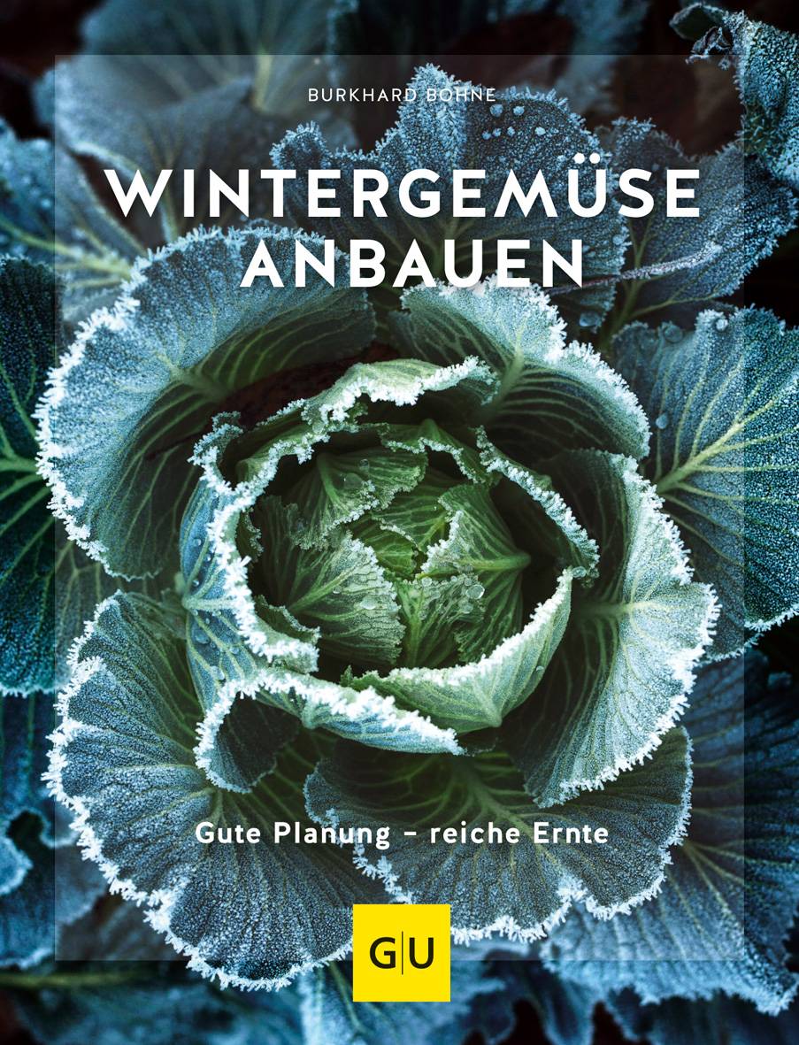 Wintergemüse anbauen Gute Planung - reiche Ernte