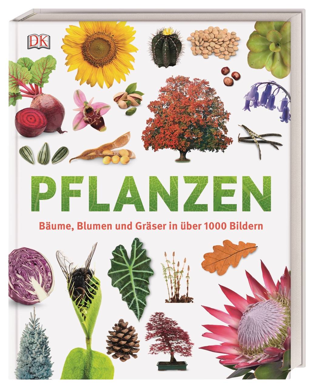 Pflanzen Bäume, Blumen und Gräser in über 1000 Bildern