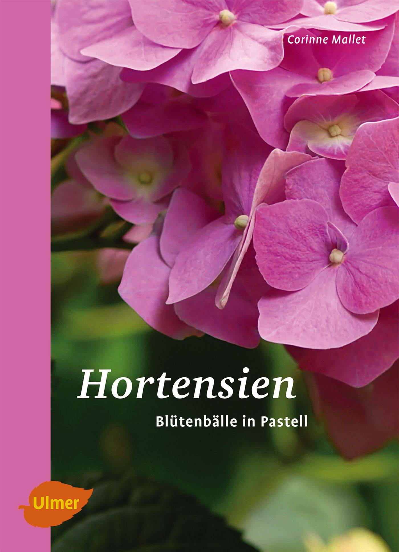 Hortensien Blütenbälle in Pastell