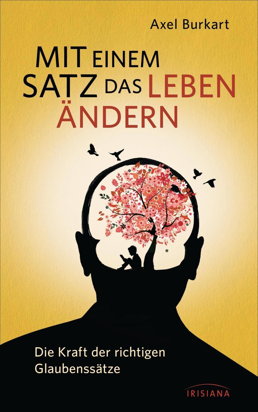 Mit einem Satz das Leben ändern Die Kraft der richtigen Glaubenssätze
