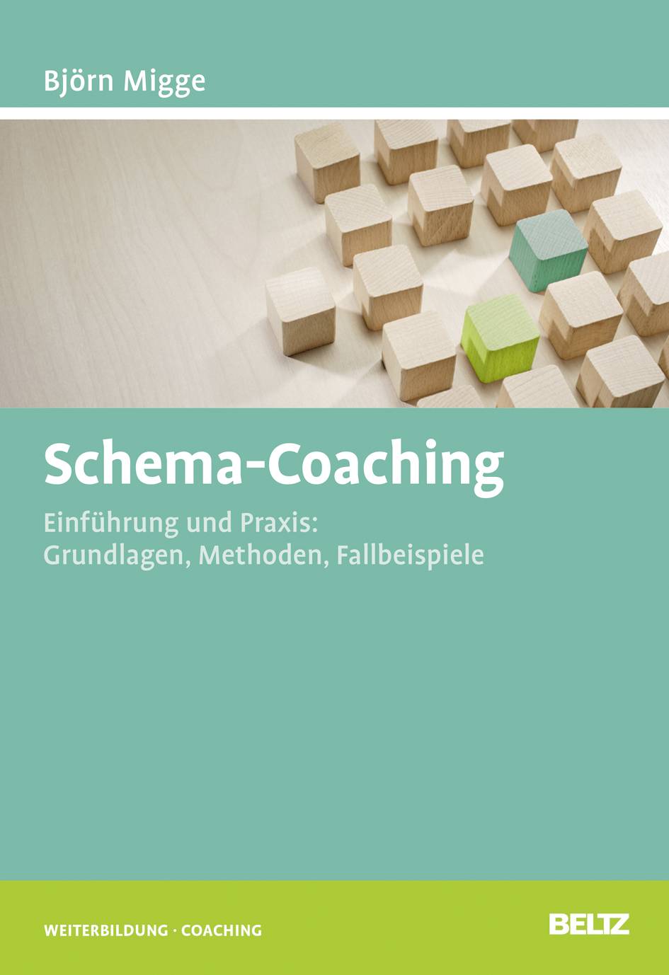 Schema-Coaching Einführung und Praxis: Grundlagen, Methoden, Fallbeispiele