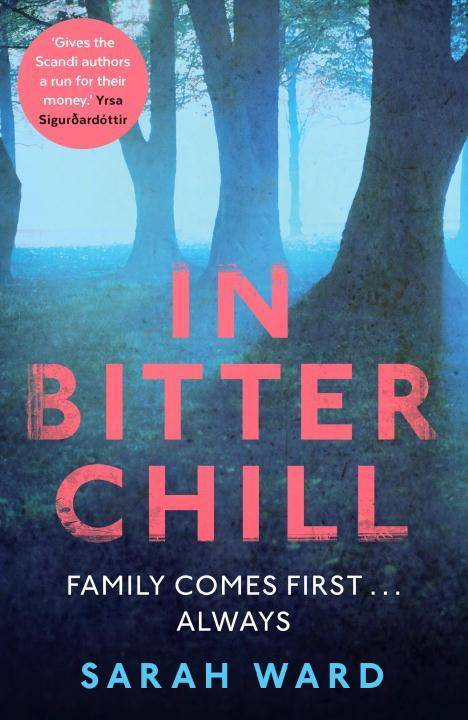 In Bitter Chill DC Connie Childs Mysteries 1