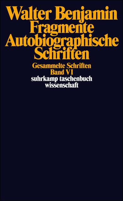 Gesammelte Schriften. Bd.6 Fragmente, Autobiographische Schriften